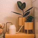 Warm and cozy Scandinavian interior with wooden planters and a watering can.